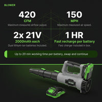 Leaf Blower Cordless, Electric Cordless Leaf Blower with 2 Batteries and Fast Charger, Lightweight Battery Powered Leaf Blowers for Lawn Care, Patio Cleaning — Results & Stats